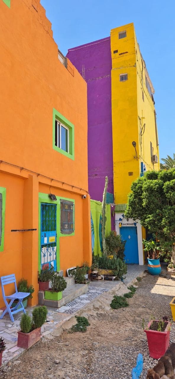 Brightly painted houses on a traditional Tamraght street